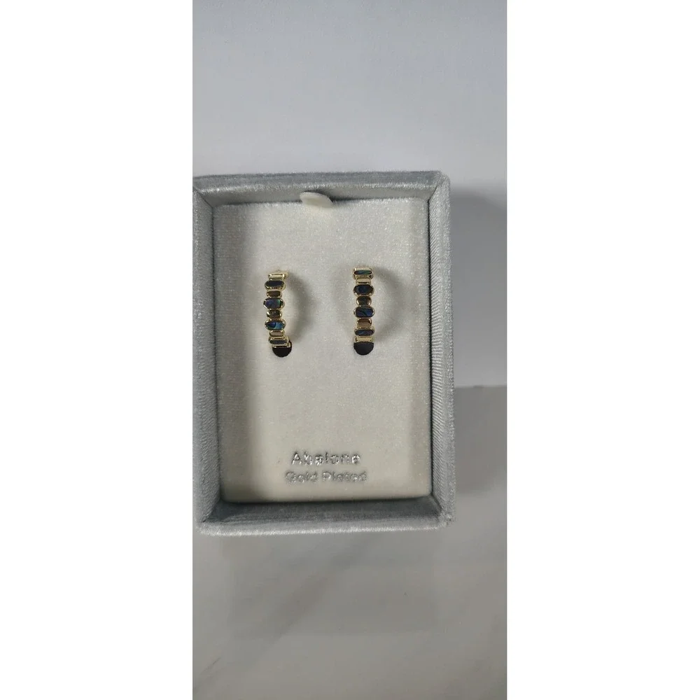 City X City Abalone Hoop Earrings